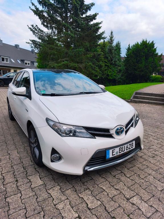 Auris