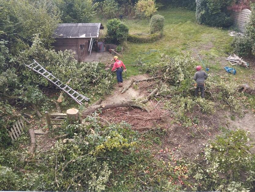Dachgeschosswohnung *** Erstbezug nach vollständiger Sanierung ** zimmer