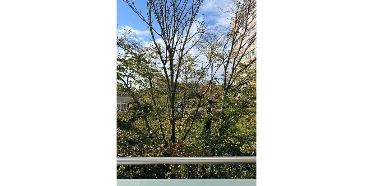 Terrassenwohnung Köln Ehrenfeld - 1 Zimmer, 30 m&sup2;, 1.150&euro; | Angebot:27567574