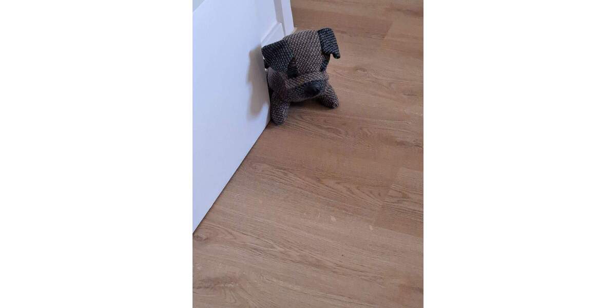 Zimmer Köln Weidenpesch - 1 Zimmer, 22 m&sup2;, 580&euro; | Angebot:26627285
