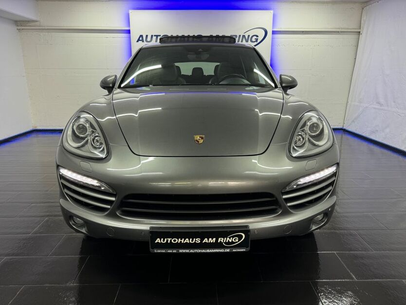 Cayenne