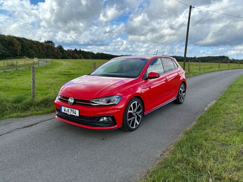 Polo