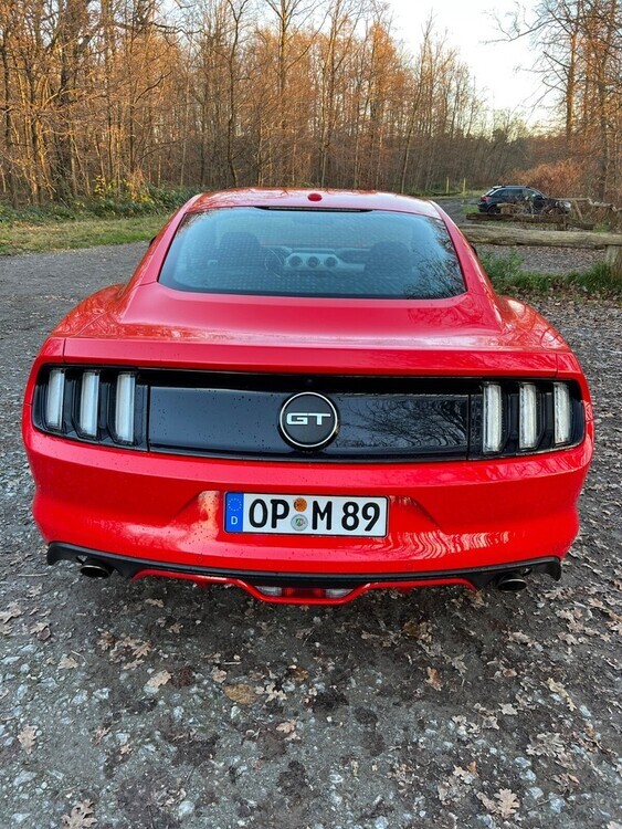 Mustang