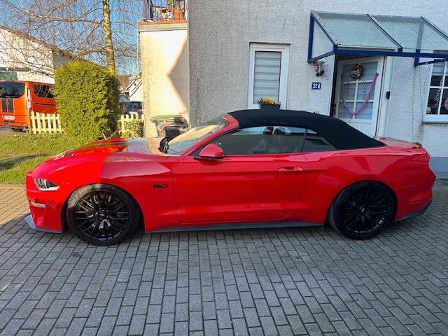 Mustang