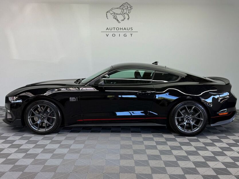 Mustang