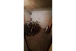 Zentrale 3 Zimmerwohnung in Ahlen