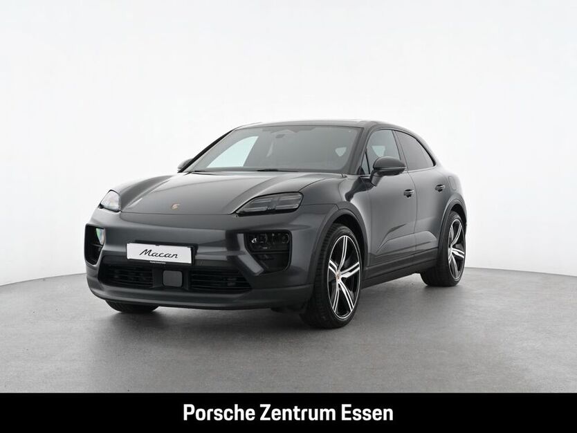 Macan