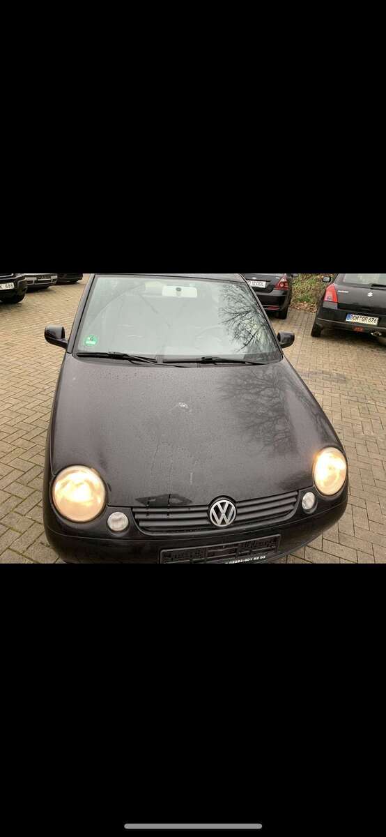 Lupo