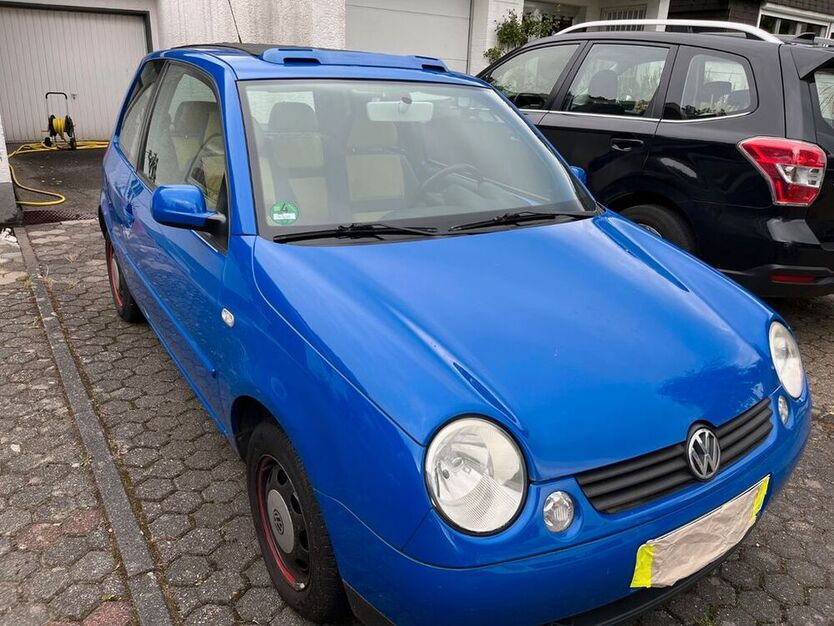 Lupo
