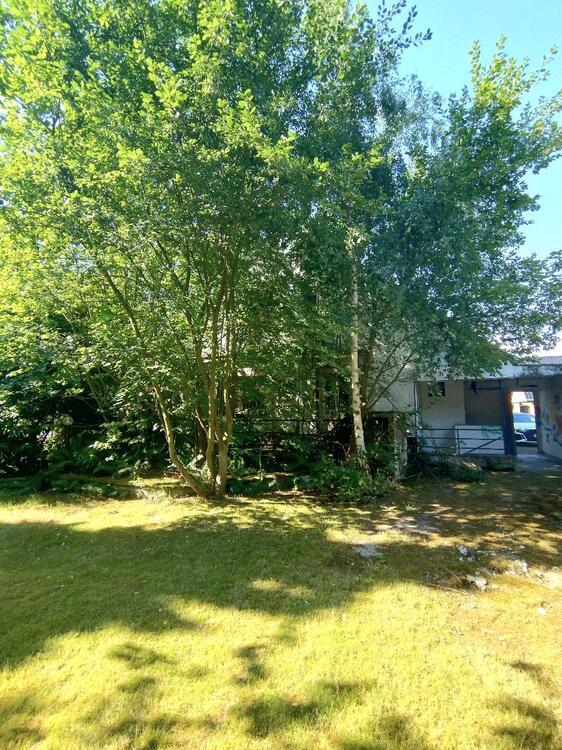 Wunderschönes, großes Grundstück mit freistehendem Einfamilienhaus und Garage (Revitalisierungsbedarf) in Köln-Fühlingen Traumlage mit hohem Erholungswert! zimmer