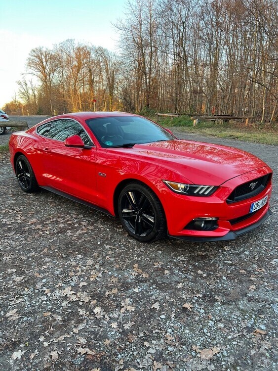 Mustang