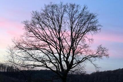 Wohnung Odenthal - 4 Zimmer, 92 m&sup2;, 1.200&euro; | Angebot:26031715