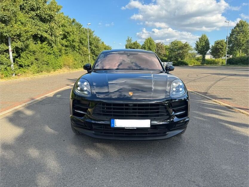 Macan