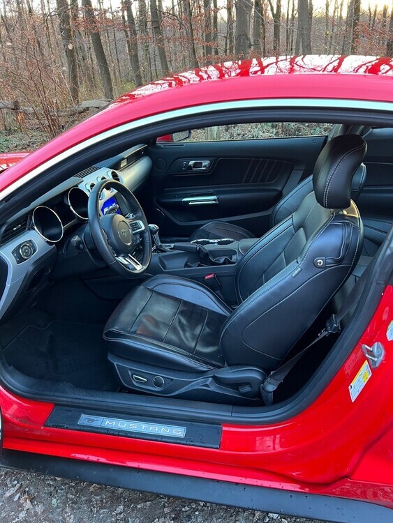 Mustang