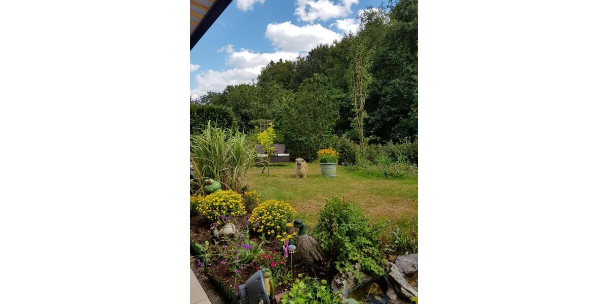 Doppelhaushälfte Halver - 369.000&euro; | Angebot:27016287