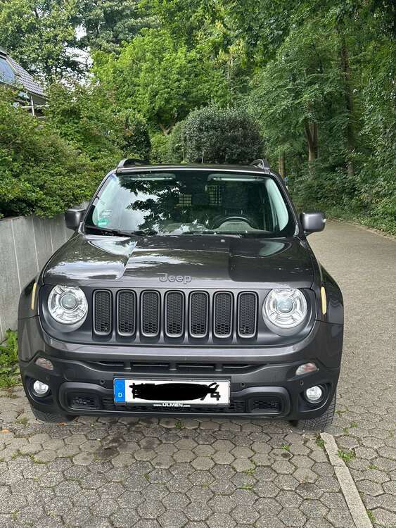 Renegade