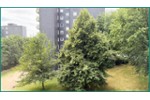 GUT GESCHNITTENE 2-ZIMMER-EIGENTUMSWOHNUNG MIT BALKON IN RADEVORMWALD, PROVISIONS- UND BEZUGSFREI - Etagenwohnung Radevormwald Uelfe IV | Angebot:27261867