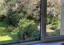Schöne 2-Zimmer-Wohnung in W-Elberfeld obere Südstadt Nähe Uni
