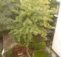 Etagenwohnung Düsseldorf Stadtbezirk 3 - 2 Zimmer, 58 m&sup2;, 299.900&euro; | Angebot:26994428