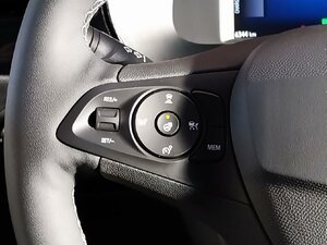 Opel Corsa e GS Matrix LED SHZ LHZ Kam Navi 9.099 km 28.480 &euro; HAAN 42781