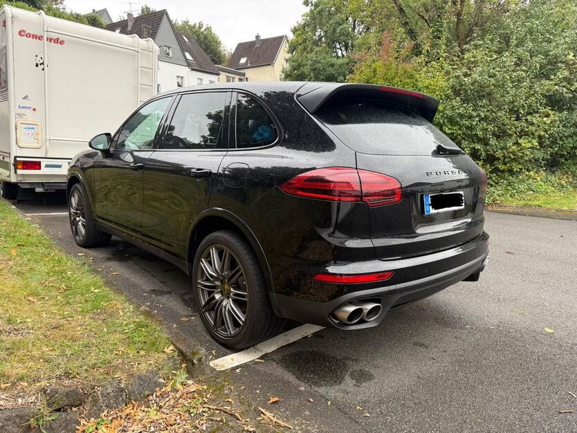 Cayenne