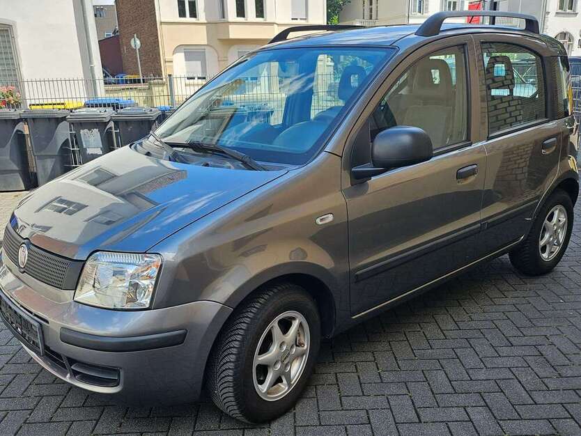 Panda