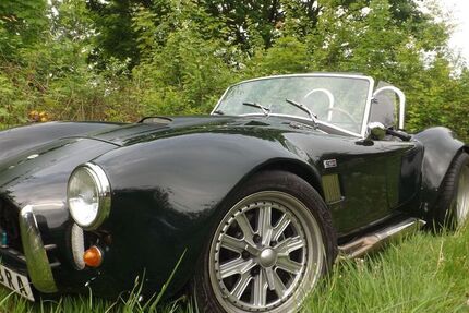 Cobra Andere