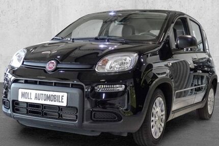 Fiat Panda 5.990 km 13.480 € Köln 51149