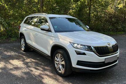 Skoda Kodiaq 252.200 km 12.990 &euro; Erkrath 40699