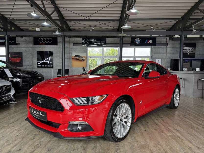 Mustang