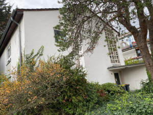 Köln-Rodenkirchen, 2 Zi.-ETW im 1. OG, großzügige Räume, schöner Balkon - Wohnung Köln Rodenkirchen | Angebot:27695061