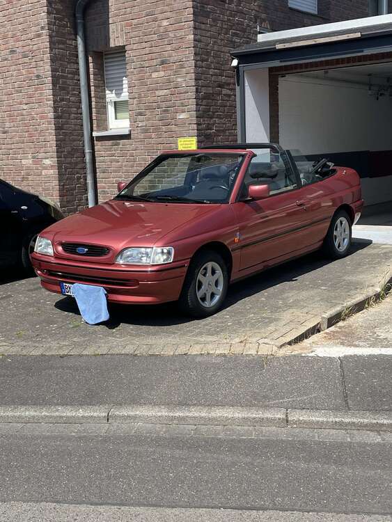 Escort