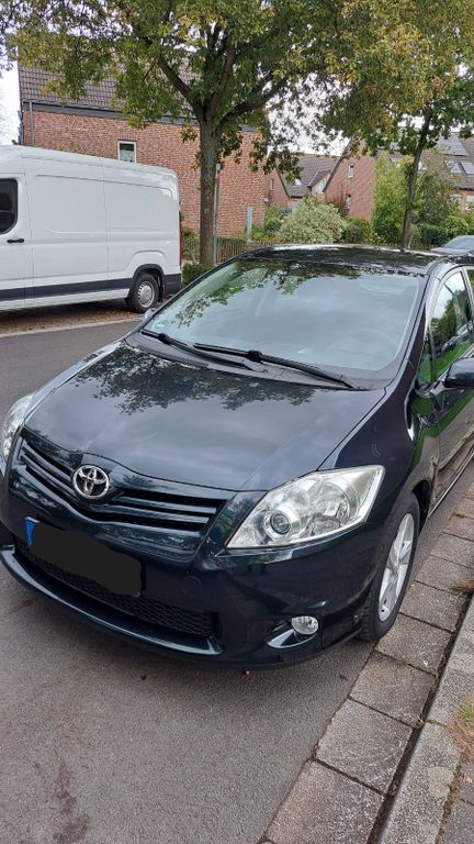 Auris