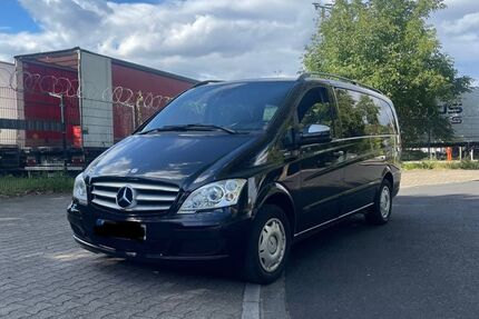Mercedes Viano