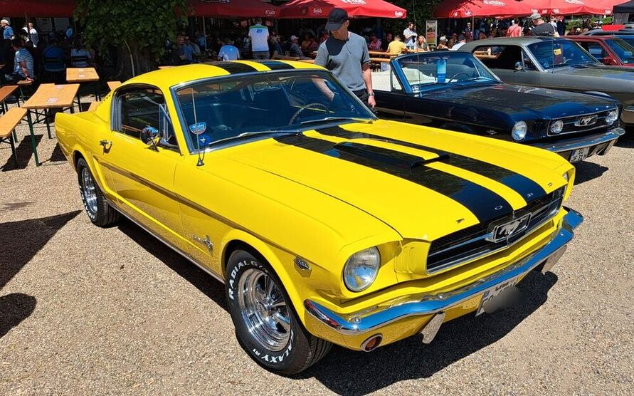 Mustang
