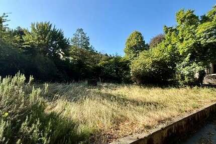 Grundstück Solingen Wald - 210.000&euro; | Angebot:27523256