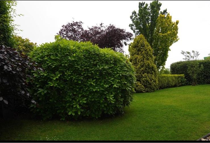 Terrassenwohnung Wuppertal Gemarkung Ronsdorf - 2 Zimmer, 64 m&sup2;, 185.000&euro; | Angebot:25638270