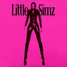 Little Simz - The Lotus Tour - Support Bina