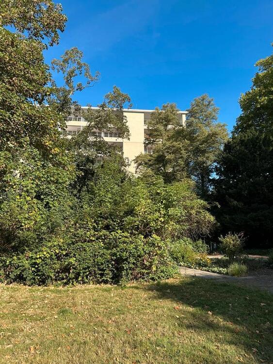 Schöne 3-Zimmer-Wohnung mit großem Balkon in Düsseldorf