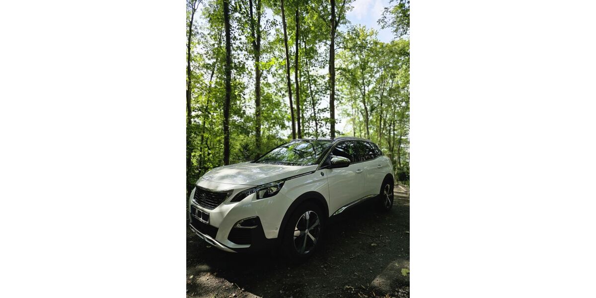 Peugeot 3008 98.000 km 16.900 € Velbert 42551