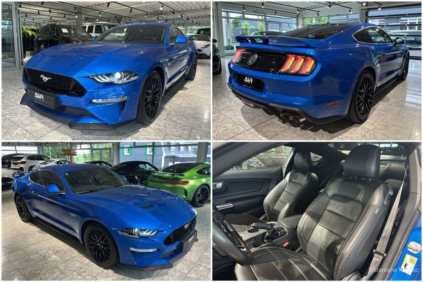 Mustang