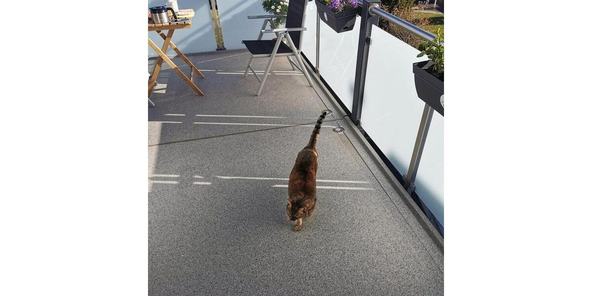 Etagenwohnung Hattingen - 5 Zimmer, 125 m&sup2;, 1.250&euro; | Angebot:24344944