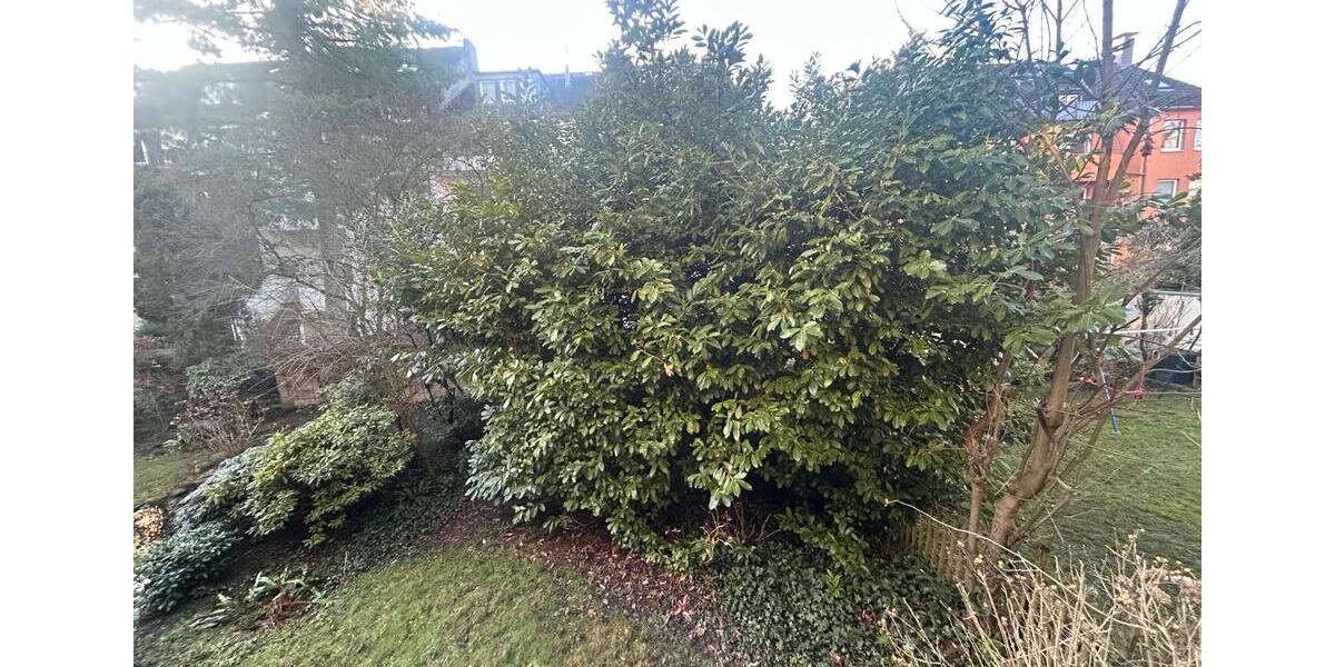 Erdgeschoßwohnung Düsseldorf Stadtbezirk 2 - 4 Zimmer, 106 m&sup2;, 1.696&euro; | Angebot:24832812