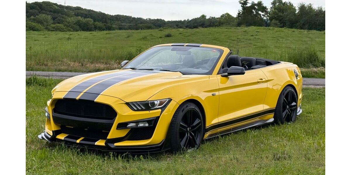 Ford Mustang 109.081 km 21.000 &euro; Leverkusen 51381