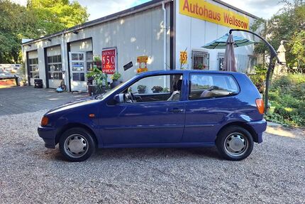 VW Polo
