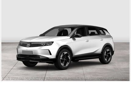 Opel Grandland (X) 1.613 km 29.990 &euro; Mettmann 40822