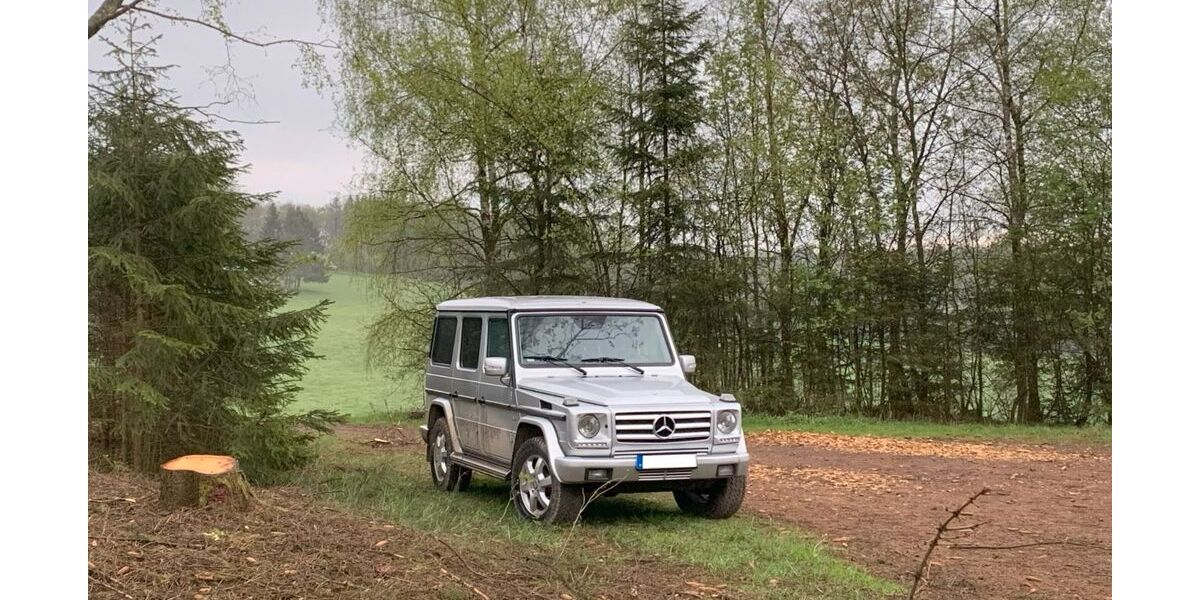 Mercedes-Benz G 500 308.000 km 42.999 &euro; Halver 58553