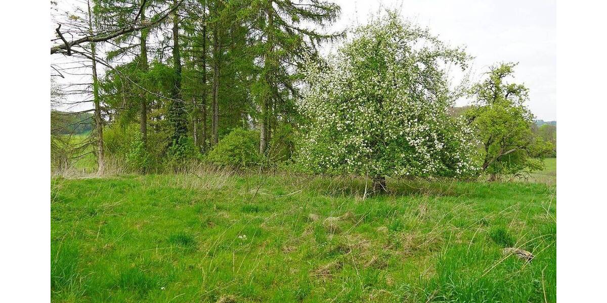 Mehrfamilienhaus, Wohnhaus Bergisch Gladbach Asselborn - 5 Zimmer, 170 m&sup2;, 550.000&euro; | Angebot:26196790