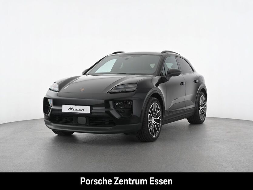 Macan
