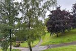 Etagenwohnung Remscheid Reinshagen - 3 Zimmer, 79 m&sup2;, 498&euro; | Angebot:26532543